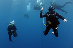 divers on a safety stop